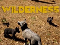 Wilderness
