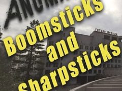 Сталкер Anomaly + Boomsticks and Sharpsticks