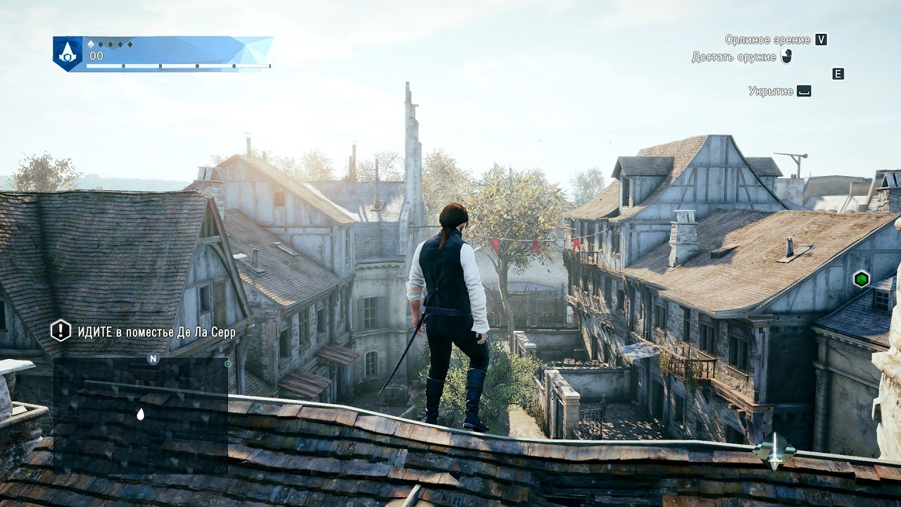 Assassins Creed 5 Механики - скриншот 5