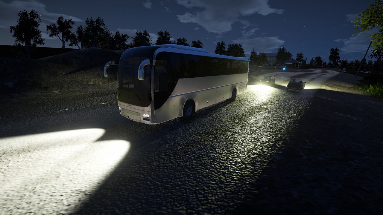Bus Driver Simulator 2019 - скриншот 3