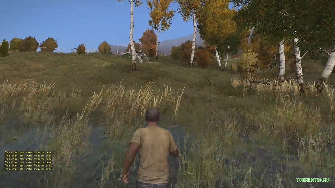 DayZ Standalone Пиратка и Сервера 2023 - скриншот 3