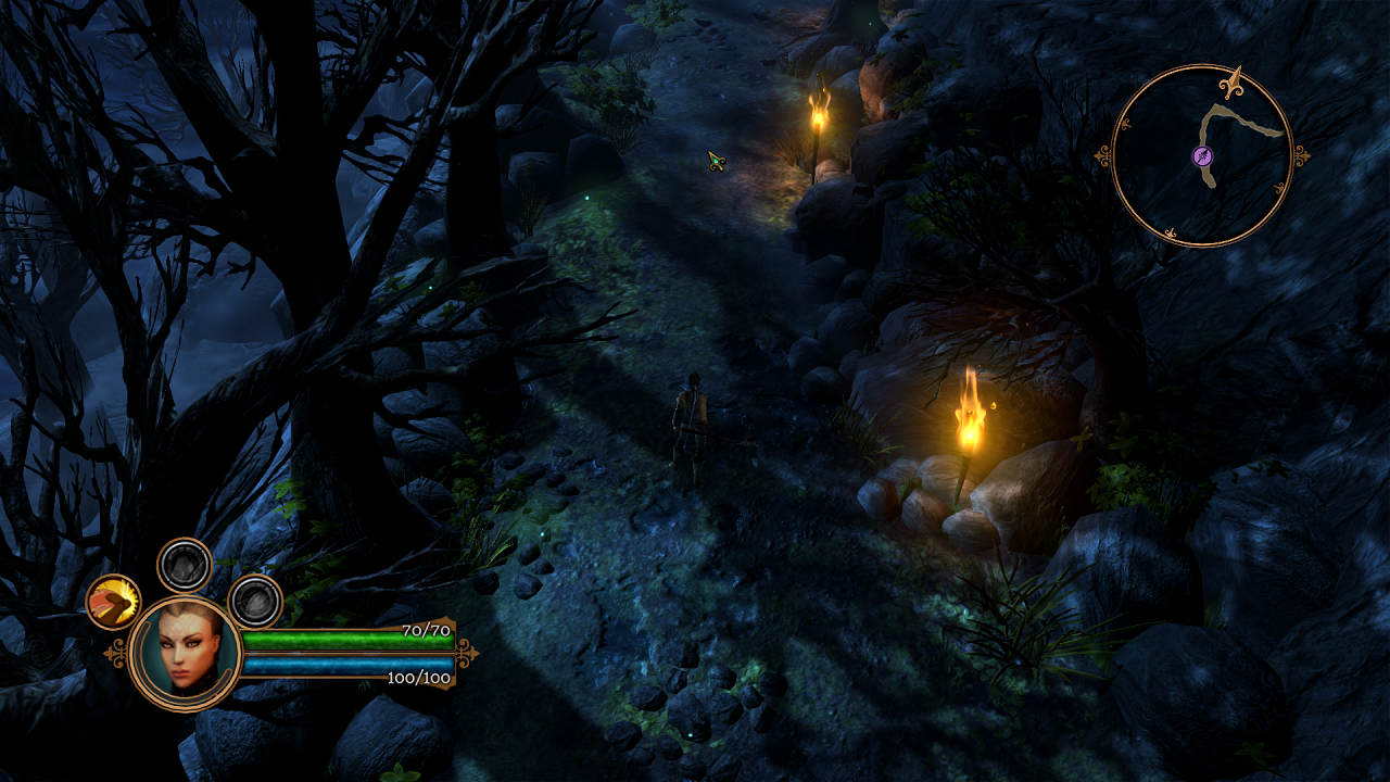 Dungeon Siege 3 - скриншот 3