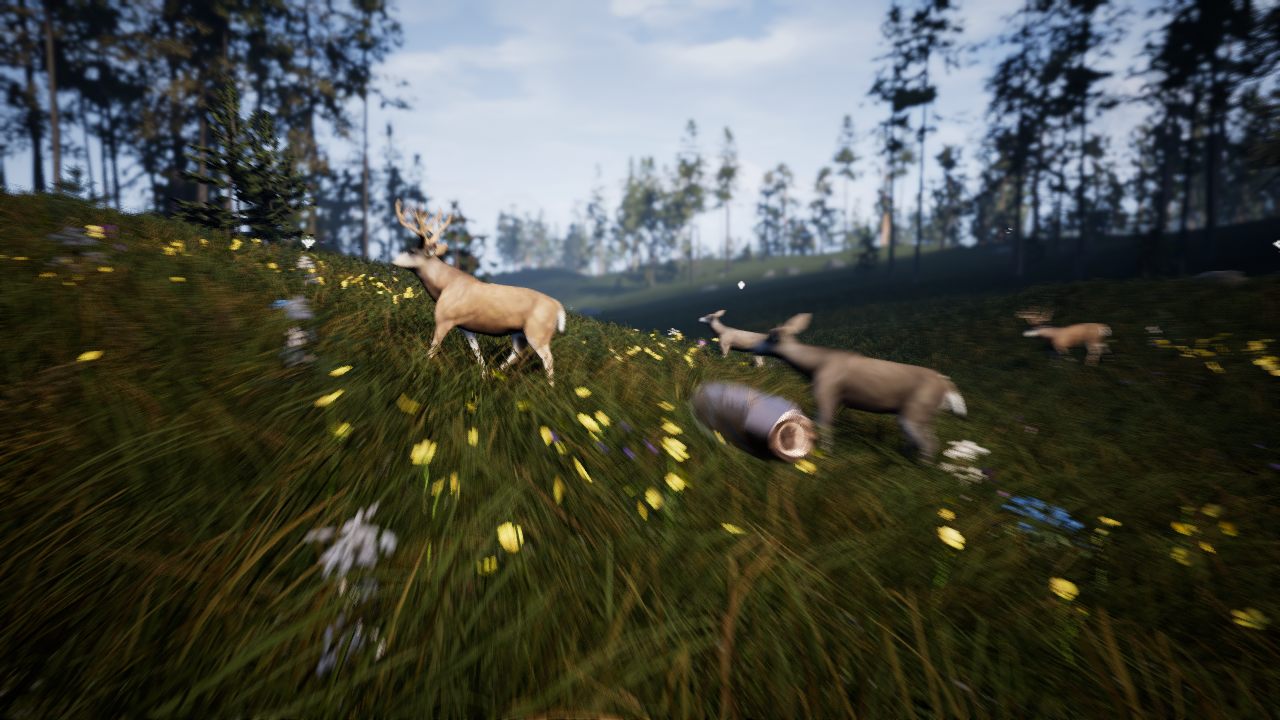 Hunting Simulator 2017 - скриншот 6