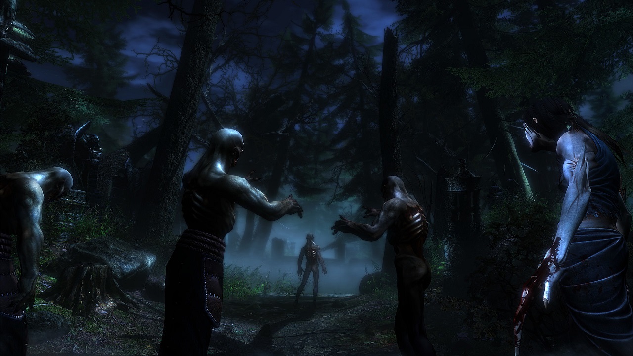 Two Worlds 2 Call of the Tenebrae - скриншот 6