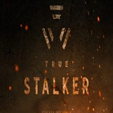 True Stalker Настоящий Сталкер