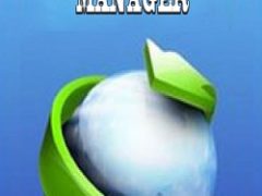 Internet Download Manager