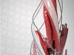 Autodesk AutoCAD 2014