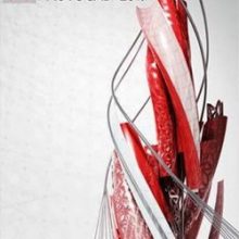 AutoCAD 2017