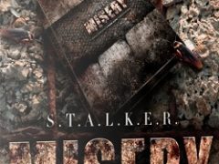 Stalker Misery + Gunslinger