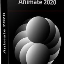 Adobe Animate 2020