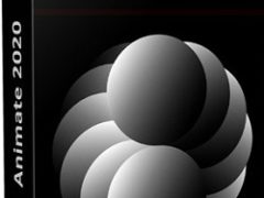 Adobe Animate 2020