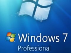 Windows 7 Professional