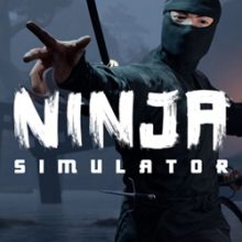 Ninja Simulator