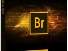 Adobe Bridge 2021