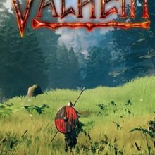 Valheim по сети