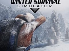 Winter Survival Simulator Механики