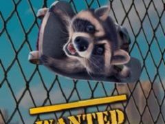 Wanted Raccoon