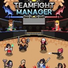 Teamfight Manager