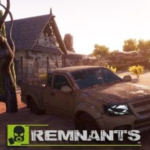 Remnants