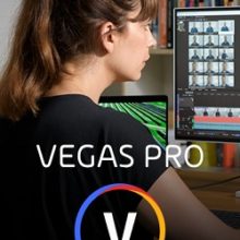 Sony Vegas Pro 19