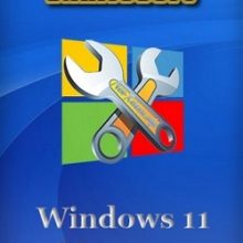 Windows 11 Manager