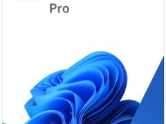 Windows 11 Pro 32 Bit Rus