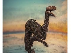Adobe Photoshop Lightroom Classic 2022