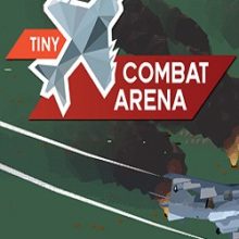 Tiny Combat Arena