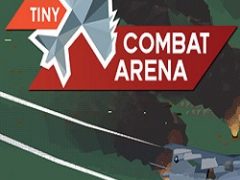 Tiny Combat Arena