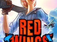 Red Wings American Aces