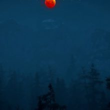 Night is Coming