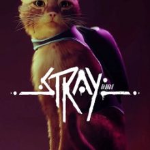 Stray