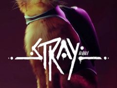 Stray