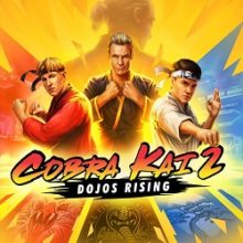 Cobra Kai 2 Dojos Rising