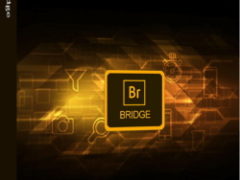 Adobe Bridge 2023