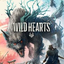 Wild Hearts