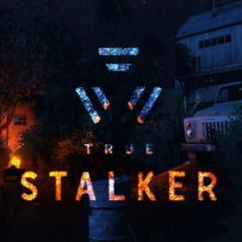 Сталкер True Stalker