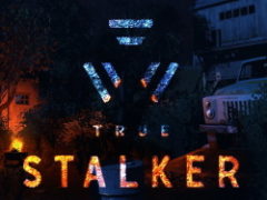 Сталкер True Stalker